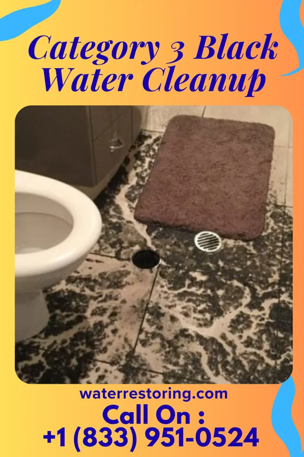 Category 3 Black Water Cleanup in Camp Croft, SC