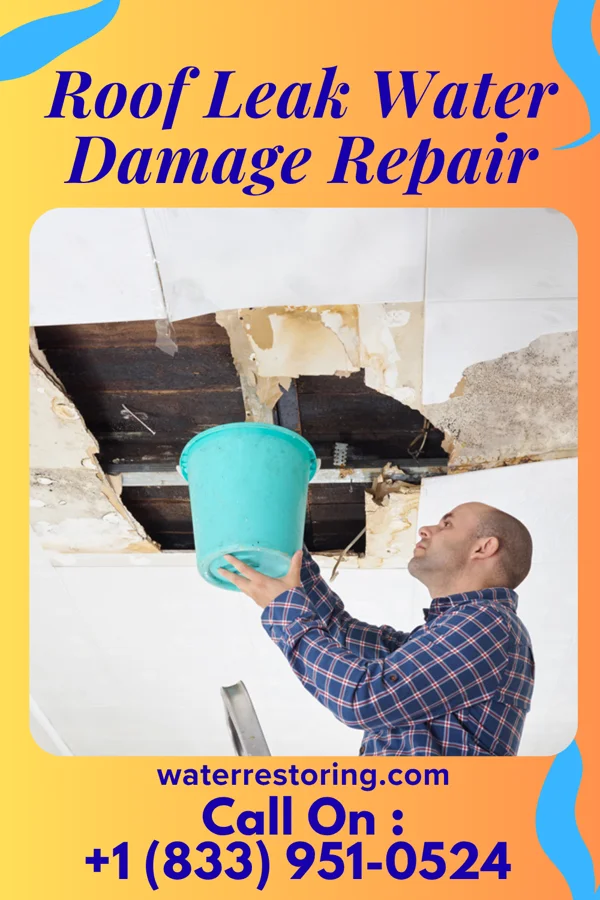 Roof Leak Water Damage Repair in Camp Croft, SC